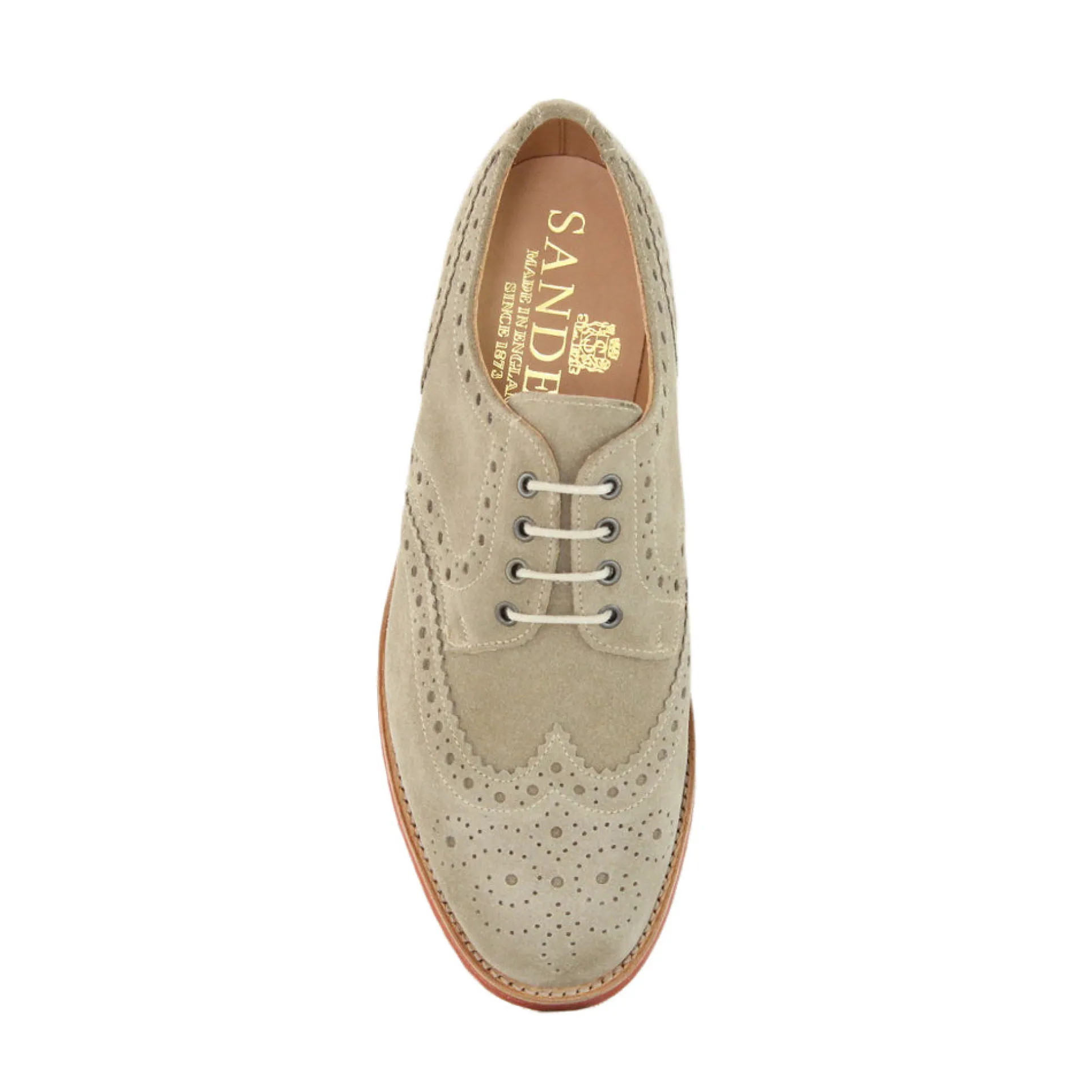 Sanders Men's Theo Suede Brogue Shoes 1705/Dls